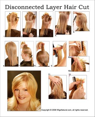 Disconnected Layered Cut Disconnected Layered Cut