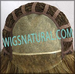 Envy Lace front Mono top wig Angie, color shown frosted