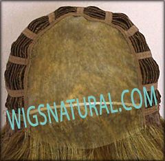 Envy Lace front Mono top wig Brianna, color shown frosted Envy Lace front Mono top wig Brianna, color shown frosted