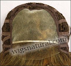 Envy Lace front Mono top wig Micki, color shown frosted