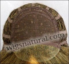 Envy Lace front wig Alana, color shown frosted