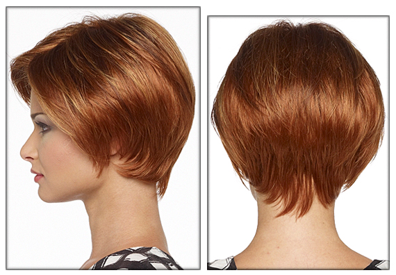 Envy Lace front wig Denise