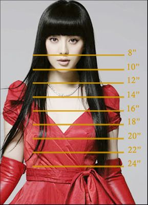 Hair Length on Real Person Chart Hair Length on Real Person Chart
