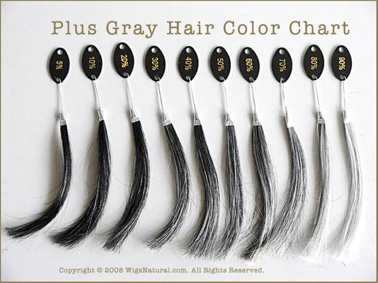 Plus Gray Hair Color Chart Plus Gray Hair Color Chart