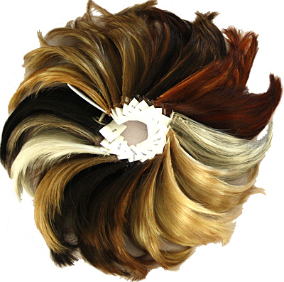 Rent or Purchase an Envy Wig Color Ring 
