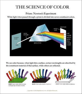 The Science of Color - it is the existence of light that makes it possible for us to perceive the color