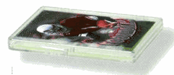 15-count Hinged Plastic Case (100 per case)