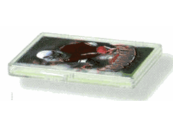 15-count Hinged Plastic Case (100 per case)