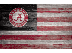Alabama Crimson Tide Distressed Flag 11x19