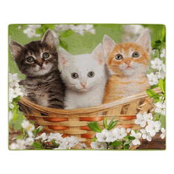 American Wilderness Collection Basket of Kittens Wilderness Raschel Throw Blanket 50x60 Inches