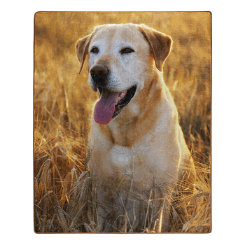 American Wilderness Collection Magic Hour Wilderness Raschel Throw Blanket 50x60 Inches