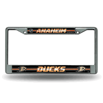 Anaheim Ducks Classic 12