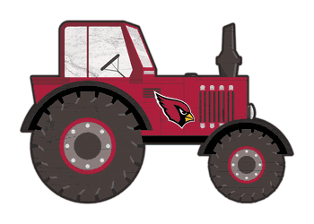 Arizona Cardinals 12