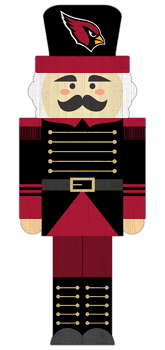 Arizona Cardinals 31