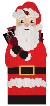 Arizona Cardinals 31