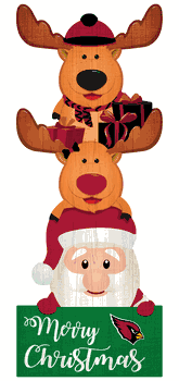 Arizona Cardinals 31