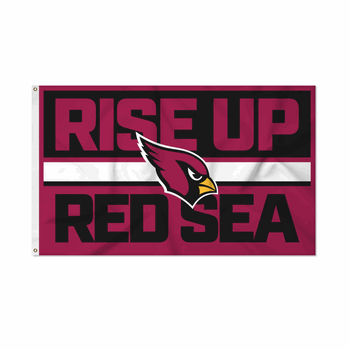 Arizona Cardinals Bold 3' x 5' Banner Flag