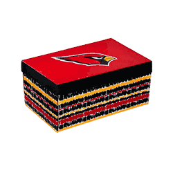 Arizona Cardinals Drink Set Boxed 17oz Stemless Wine and 16oz Tankard