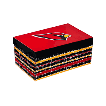 Arizona Cardinals Drink Set Boxed 17oz Stemless Wine and 16oz Tankard