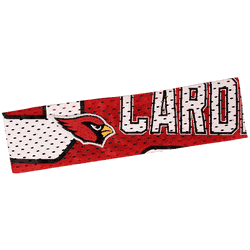 Arizona Cardinals FanBand