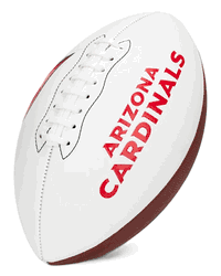 Arizona Cardinals Franklin NFL Team Signature Autograph White Panel Football