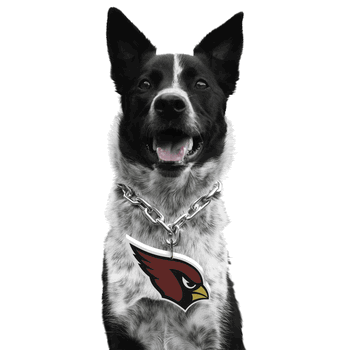 Arizona Cardinals Pet Fan Chain
