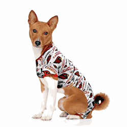 Arizona Cardinals Pet PJs Large