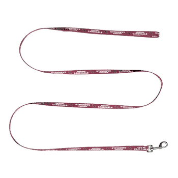 Arizona Cardinals Pet Team Lead .375 X 60