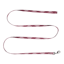 Arizona Cardinals Pet Team Lead .375 X 60