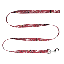 Arizona Cardinals Pet Team Lead .75 X 60