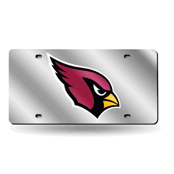 Arizona Cardinals Silver 12