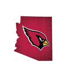 Arizona Cardinals Team Color Logo State Sign