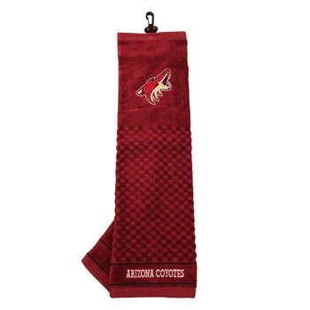 Arizona Coyotes 16