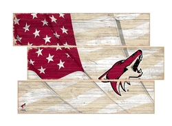 Arizona Coyotes American Flag 3 Plank