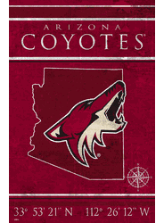 Arizona Coyotes Coordinates 17x26