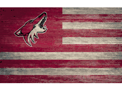 Arizona Coyotes Distressed Flag 11x19