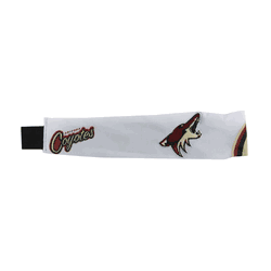 Arizona Coyotes FanBand