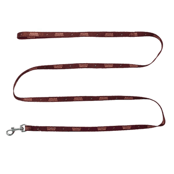 Arizona Coyotes Pet Team Lead .375 x 60