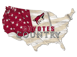 Arizona Coyotes USA Shape Flag Cutout