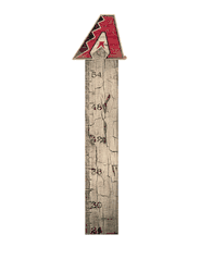 Arizona Diamondbacks Growth Chart Sign 6x36