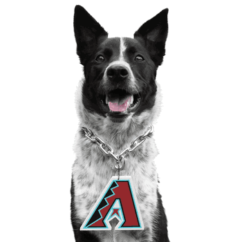 Arizona Diamondbacks Pet Fan Chain