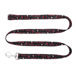 Arizona Diamondbacks Pet Team Lead  - Medium