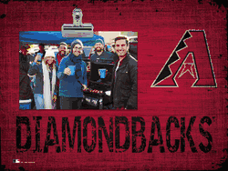 Arizona Diamondbacks Team Clip Frame 10in. x 8in.