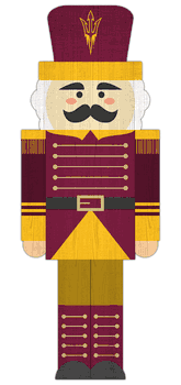 Arizona State Sun Devils 31