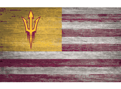 Arizona State Sun Devils Distressed Flag 11x19
