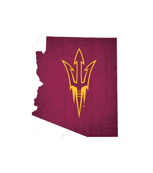 Arizona State Sun Devils Team Color Logo State Sign