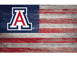 Arizona Wildcats Distressed Flag 11x19