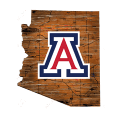 Arizona Wildcats Distressed State with Logo