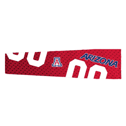 Arizona Wildcats FanBand