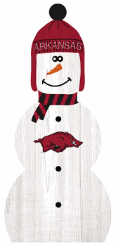 Arkansas Razorbacks 31